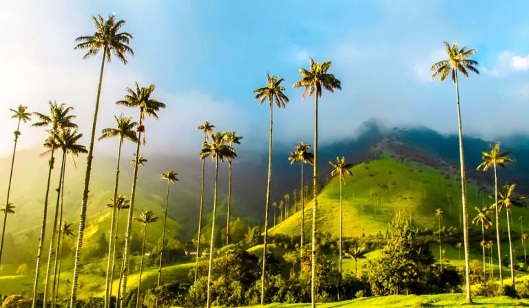 Hotel Movich Pereira 37 Valle del Cocora